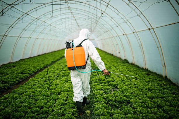 Best Affordable Pest Control Services  in Galena, IN