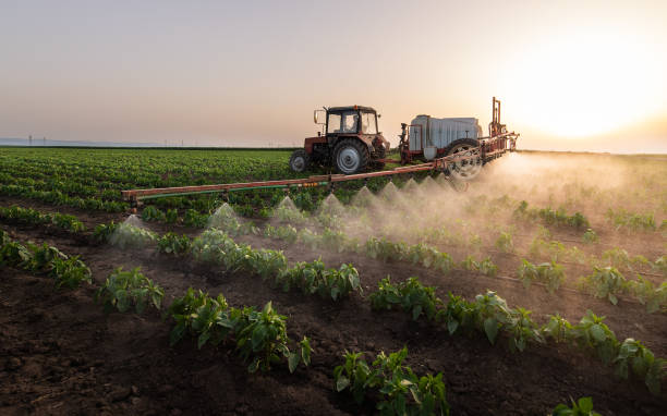 Best Pest Prevention Services  in Galena, IN