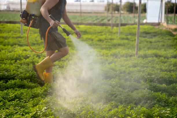 Best Affordable Pest Control Services  in Galena, IN